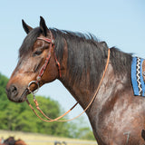Texas Star Chestnut Browband Headstall