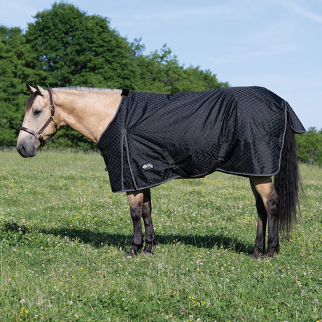 Premium Turnout Blanket, Medium Weight 200g, 600D