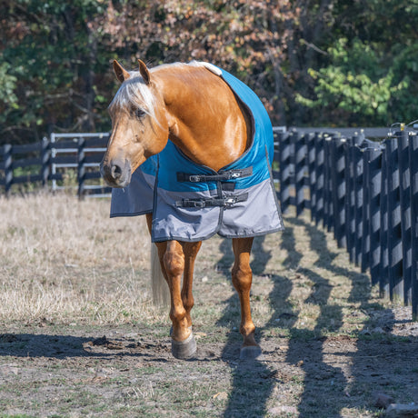 Premium Turnout Blanket, Medium Weight 200g, 600D