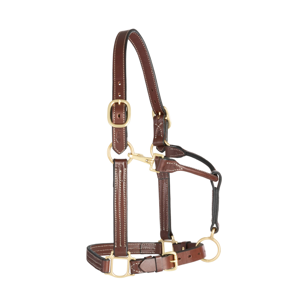 1" Track Halter