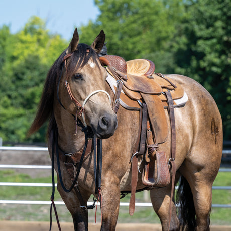 Loping Hackamore: Rope Noseband, Leather Hanger with Silvertip Split Reins