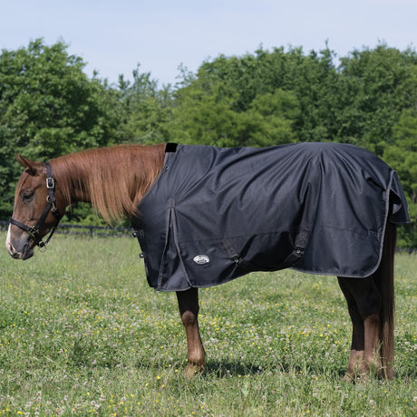 Premium Turnout Blanket, Medium Weight 200g, 600D