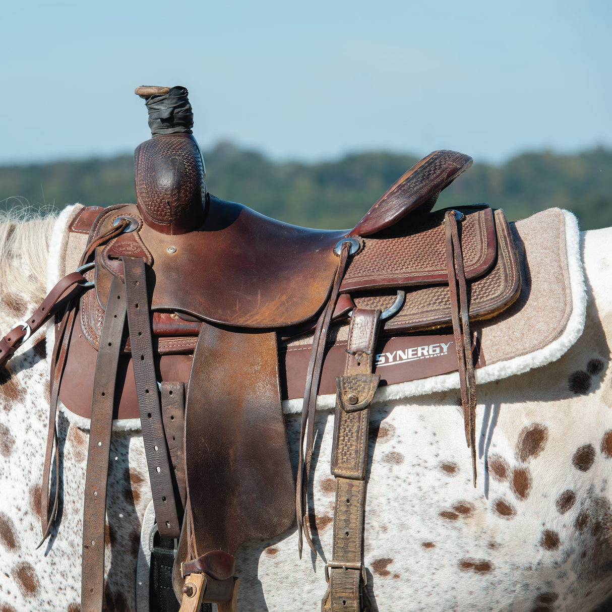 Synergy Natural Fit Wool Blend Felt Performance Saddle Pad