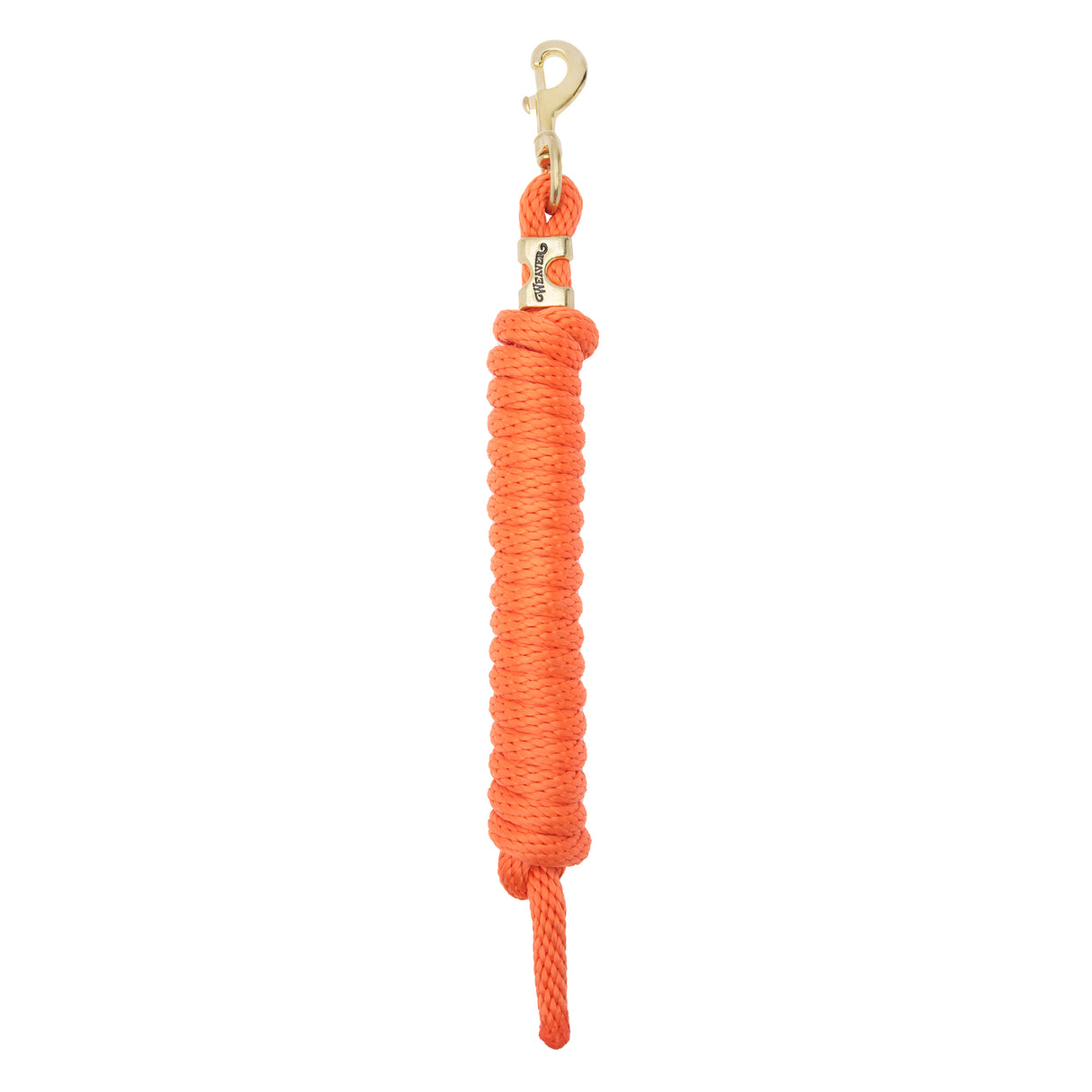 Poly Lead Rope with a Solid Brass 225 Snap