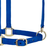 Original Adjustable Chin and Throat Snap Halter, 1" Draft
