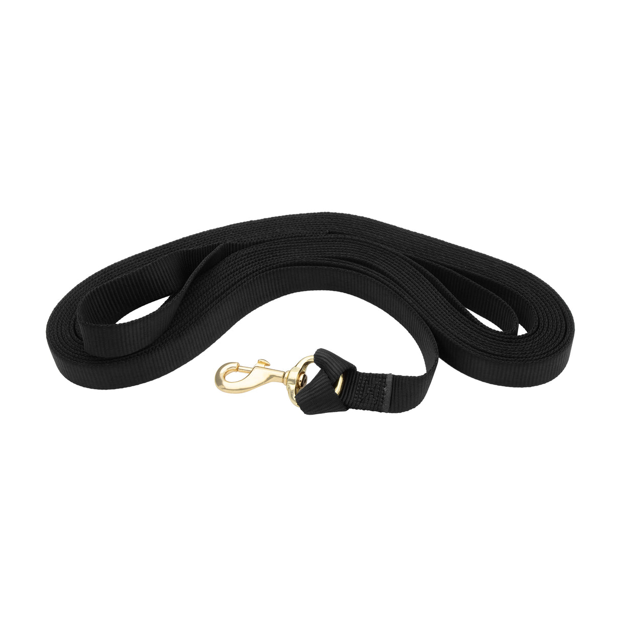 Flat Nylon Lunge Line with Snap, 1" x 30'