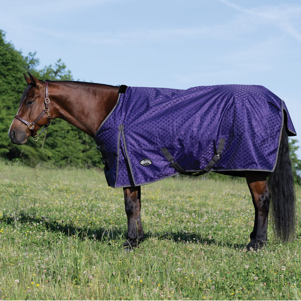 Premium Turnout Blanket, Heavy Weight 300g, 1200D