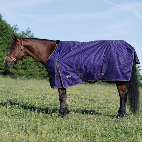 Premium Turnout Blanket, Heavy Weight 300g, 1200D