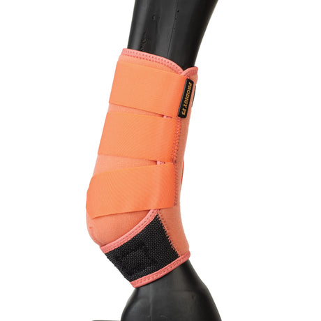 Prodigy® F3 Horse Sport Boots, Medium