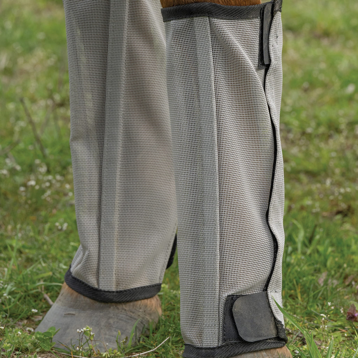 Horse Fly Boots - Set of 4, Mesh, Breathable, UV Protection