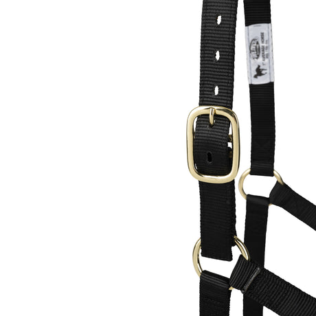 Poly Horse Halter, Non-Adjustable, Weanling to Large