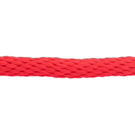 Poly Lead Rope with Brass Plated Swivel Chain