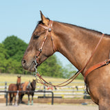 Oiled Hermann Oak Harness Leather Browband Headstall with Floral Conchos