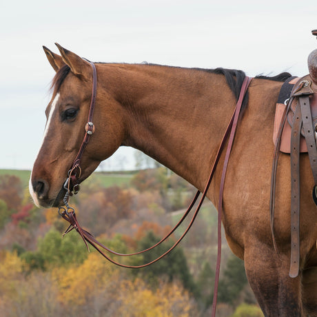 Latigo Western Headstall