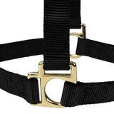 Poly Horse Halter, Non-Adjustable, Weanling to Large