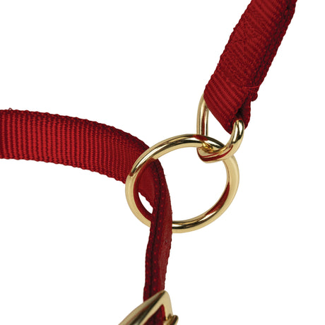 Poly Horse Halter, Adjustable, Weanling to Large