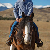 Justin Dunn Bitless Bridle, Draft