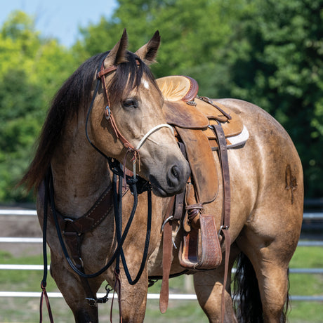 Loping Hackamore: Rope Noseband, Leather Hanger with Silvertip Split Reins
