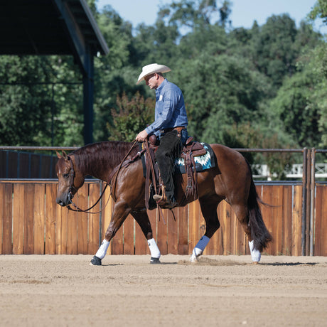 Synergy Contoured Performance Saddle Pad