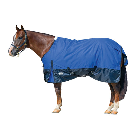 Economy Winter Turnout Blanket, Heavy Weight, 300g, 1200D
