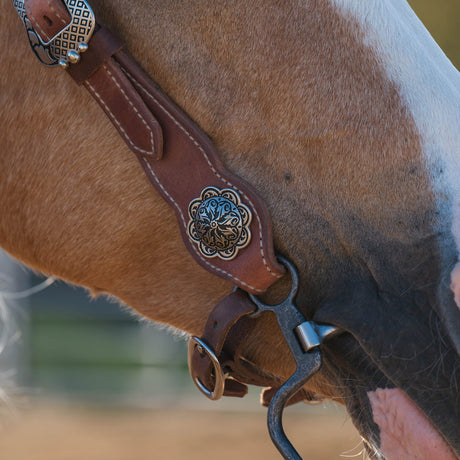 Contoured Sliding Ear Headstall