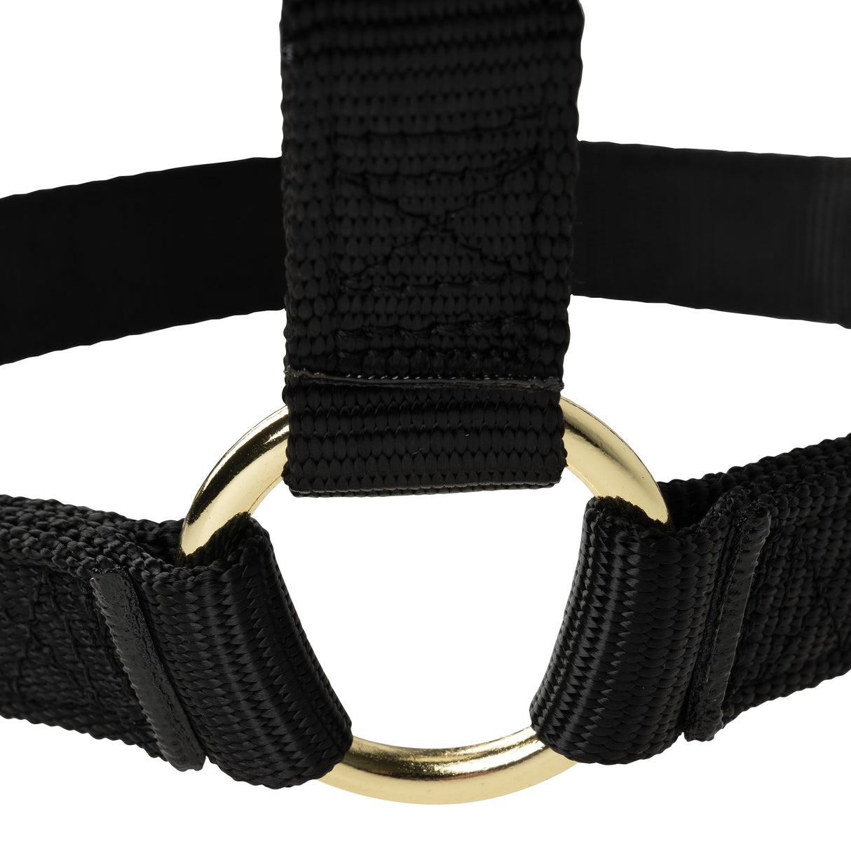 Poly Horse Halter, Non-Adjustable, Weanling to Large