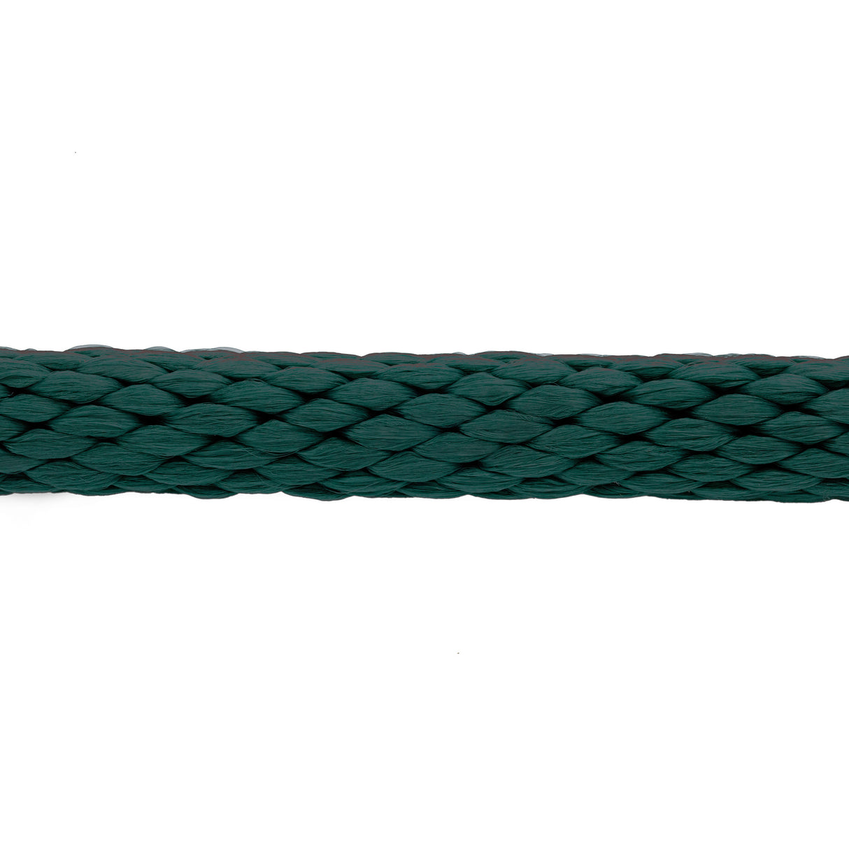 Poly Lead Rope with Brass Plated Bull Trigger Snap