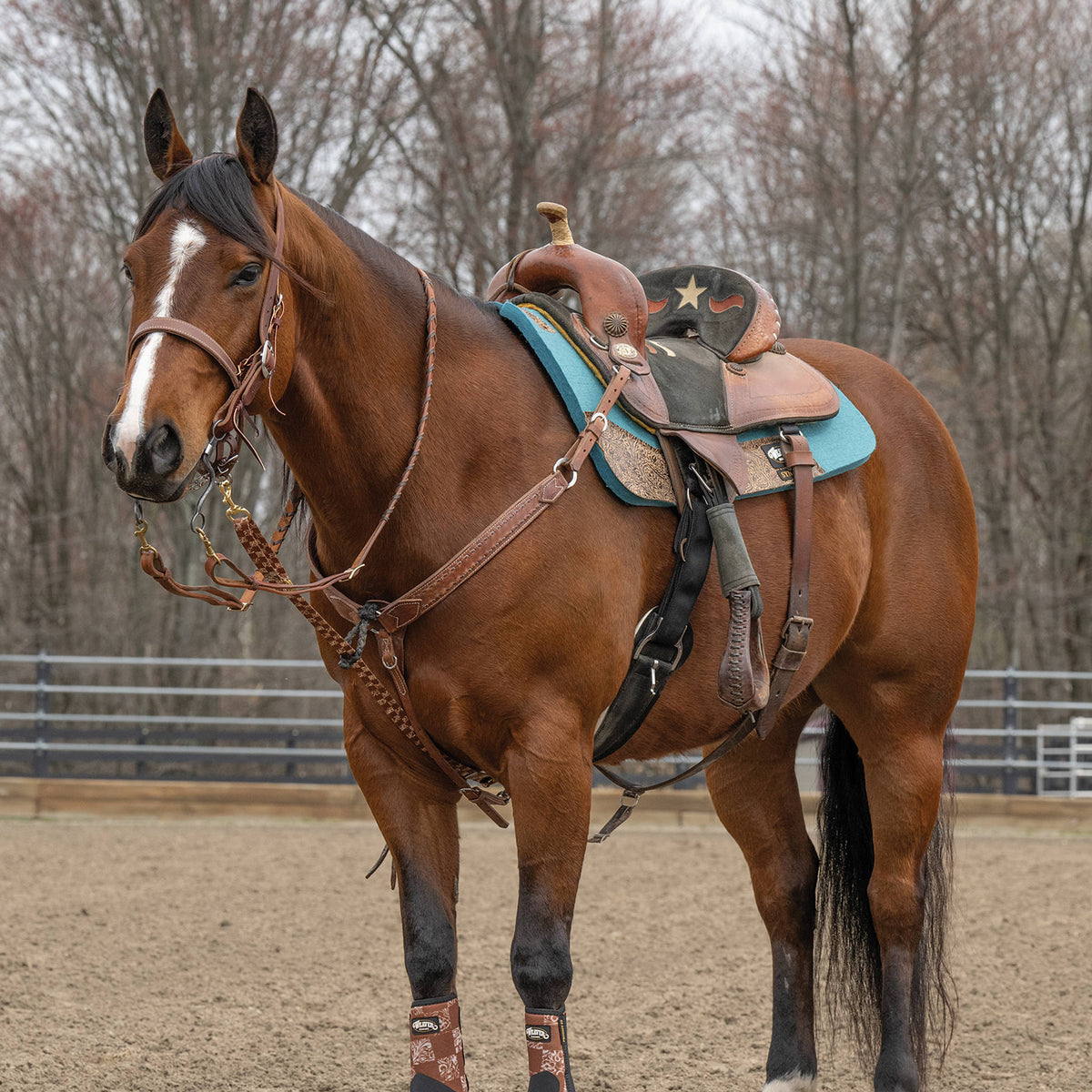 Patterned Deluxe Horse Tie Down Strap
