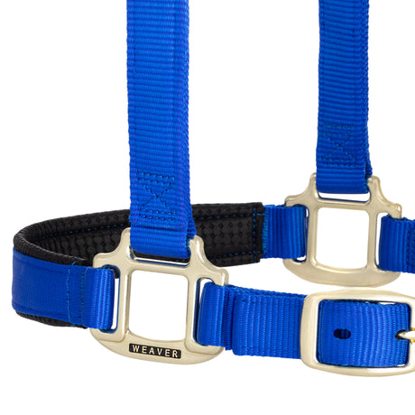 Original Padded Breakaway Halter Adjustable Chin, Throat Snap