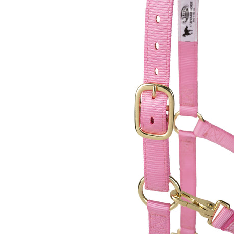 Poly Horse Halter, Non-Adjustable with Throat Snap, Weanling to Large