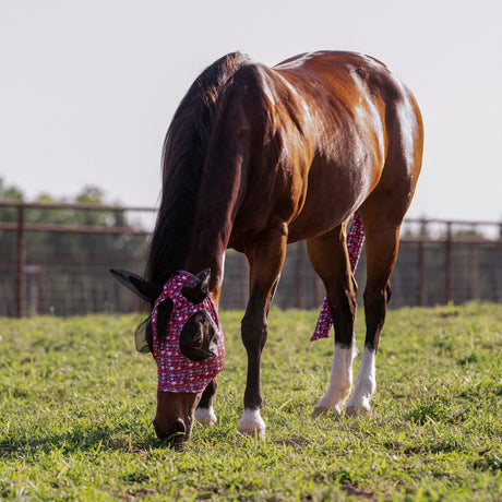 Equine Lycra® Fly Masks Powered by Coolcore®