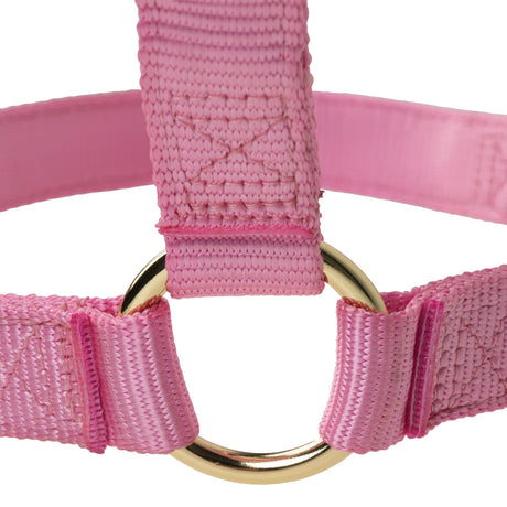 Poly Horse Halter, Non-Adjustable, Weanling to Large