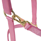 Poly Horse Halter, Non-Adjustable with Throat Snap, Weanling to Large