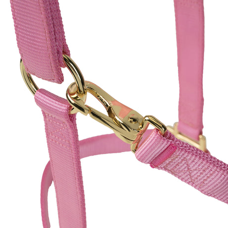 Poly Horse Halter, Non-Adjustable with Throat Snap, Weanling to Large
