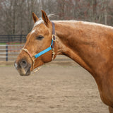 Kalley Krickeberg Breakaway Horseman's Halter, Nylon, Leather & Rope Combination Horse Halter