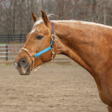 Kalley Krickeberg Breakaway Horseman's Halter, Nylon, Leather & Rope Combination Horse Halter