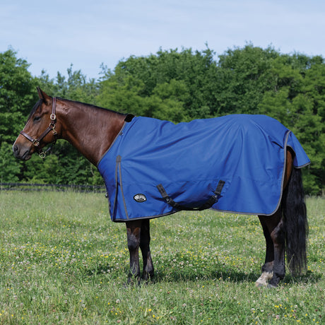 Premium Turnout Blanket, Medium Weight 200g, 600D