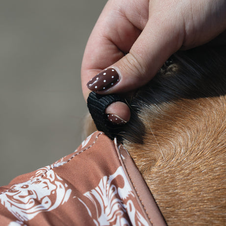 Equine Lycra® Fly Masks Powered by Coolcore®