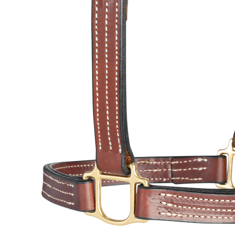 1" Triple Stitch Non-Adjustable Leather Halter