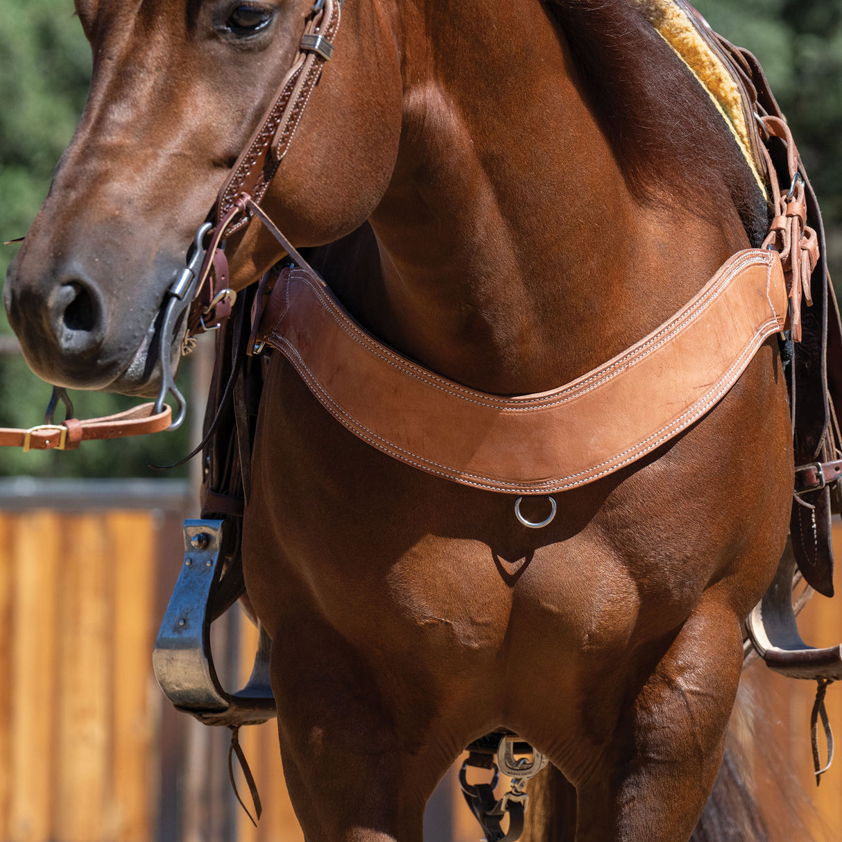 Heavy-Duty Steer Roper Breast Collar