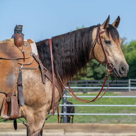 Extra Heavy Oiled Hermann Oak Harness Leather Split Reins, 8'