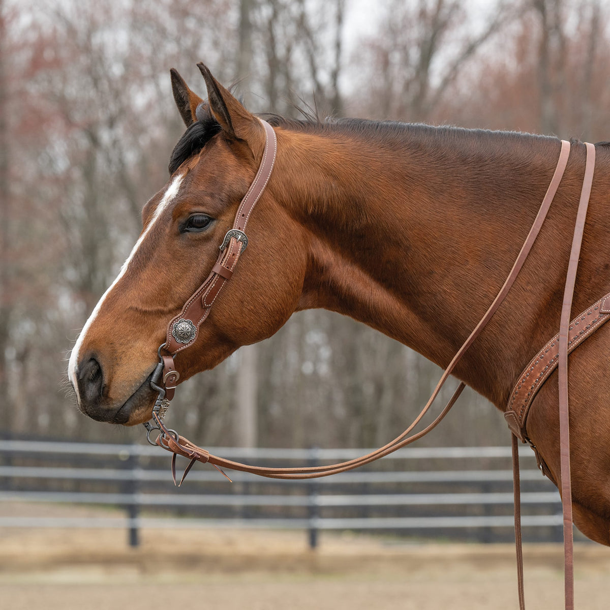 Contoured Sliding Ear Headstall