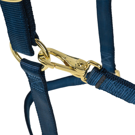 Poly Horse Halter, Adjustable, Weanling to Large