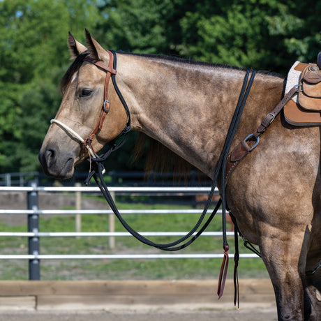 Loping Hackamore: Rope Noseband, Leather Hanger with Silvertip Split Reins