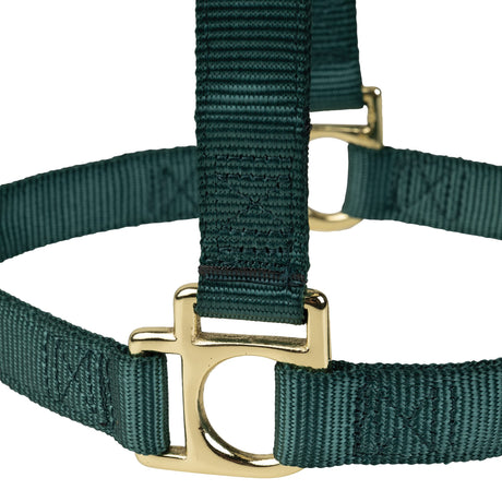 Poly Horse Halter, Non-Adjustable with Throat Snap, Weanling to Large