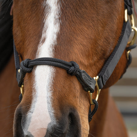 Kalley Krickeberg Breakaway Horseman's Halter, Nylon, Leather & Rope Combination Horse Halter