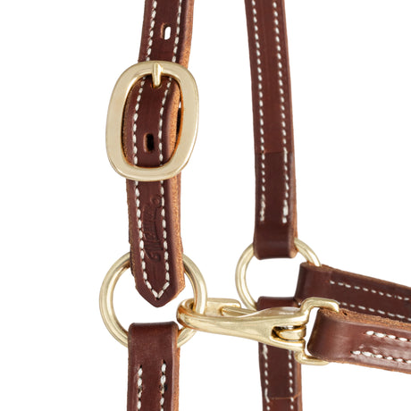 3/4" Double Stitch Adjustable Leather Halter