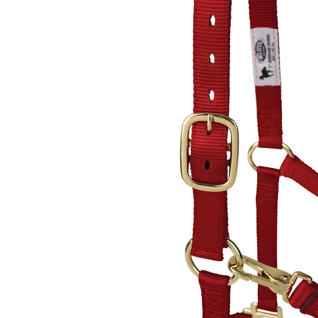 Poly Horse Halter, Non-Adjustable with Throat Snap, Weanling to Large