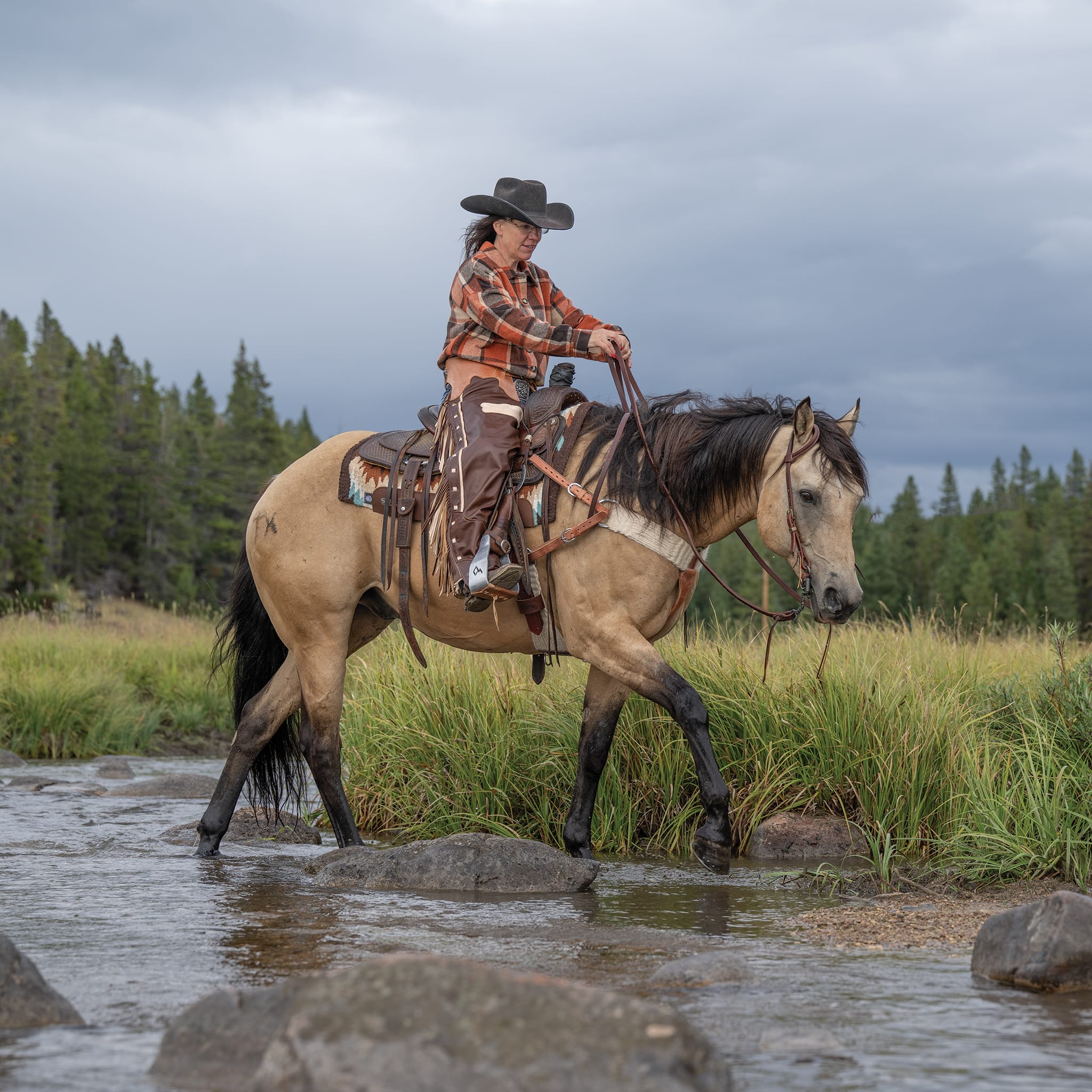 Premium Western Leather Cowboy Chaps for Men and Women | Weaver Equine