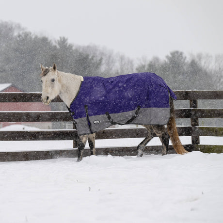 Premium Turnout Blanket, Medium Weight 200g, 600D